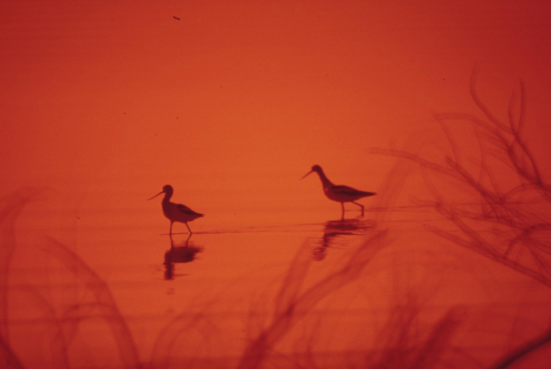 29歳での転職:私の挑戦記